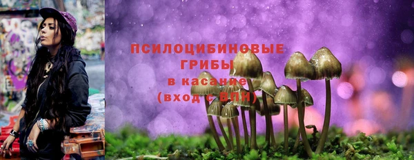ECSTASY Беломорск