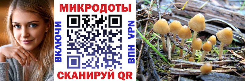гидра рабочий сайт  Чехов  Псилоцибиновые грибы мицелий 